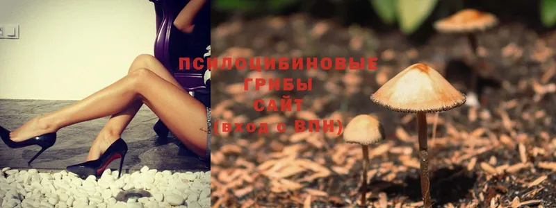 Галлюциногенные грибы Magic Shrooms  купить закладку  Лиски 